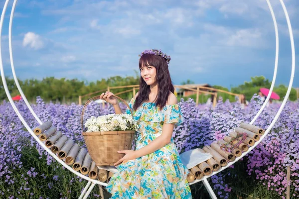 Asian happy woman in flower dress sit in Margaret Aster flowers field. Winter travel relax vacation concept at Chiang Mai, Thailand