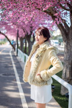 Yün kazaklı mutlu genç kız Asya 'da bahar aylarında tatilde olan kiraz ağaçlarıyla arka planda eğleniyor ve dinleniyor. Seyahat kavramı