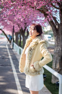 Yün kazaklı mutlu genç kız Asya 'da bahar aylarında tatilde olan kiraz ağaçlarıyla arka planda eğleniyor ve dinleniyor. Seyahat kavramı