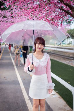 Pembe tişörtlü mutlu genç kız Asya 'da ilkbaharda tatildeyken arka planda sakura kiraz çiçeklerinin açtığı bir şemsiyeyle eğleniyor ve rahatlıyor. Seyahat kavramı