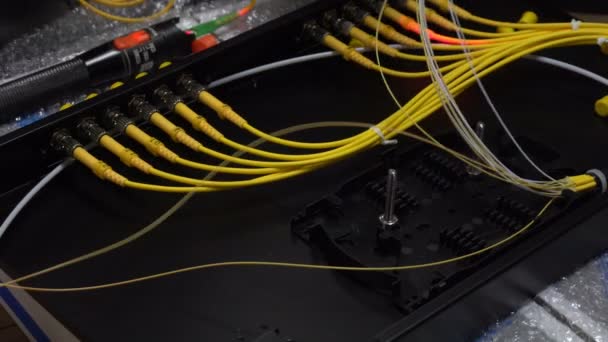 Des Techniciens Experts Connectent Des Câbles Fibre Optique Sur Chemin — Video