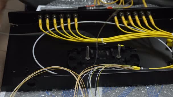 Técnicos Expertos Están Conectando Cables Fibra Óptica Camino — Vídeo de stock