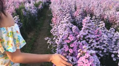 Margaret çiçek tarlasında elbise giyen bir kadın, Chiang Mai, Tayland. Yavaş çekim