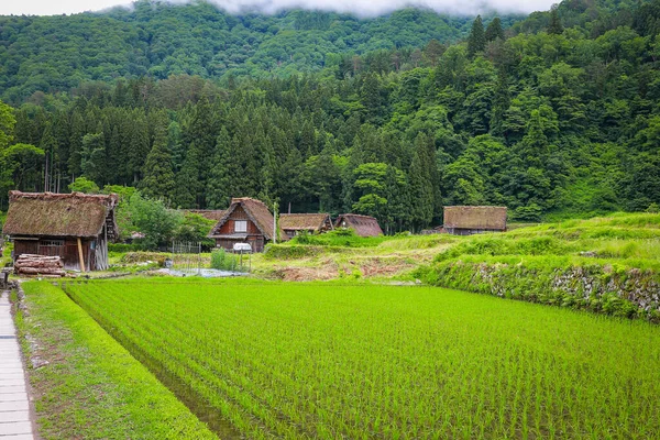 Traditional House Shirakawago World Heritage Village Boasting Beautiful Scenery Rice — Stock Photo, Image