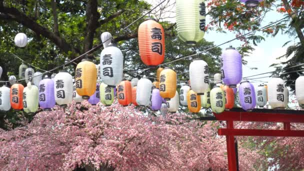 Sırayla Kiraz Çiçeklerini Süsleyen Çeşitli Renkli Japon Fenerleri Fenerdeki Yazı — Stok video