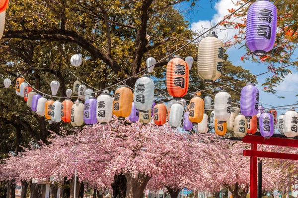 Verschiedene Farbige Japanische Laternen Die Die Kirschblüten Reihen Schmücken Der — Stockfoto