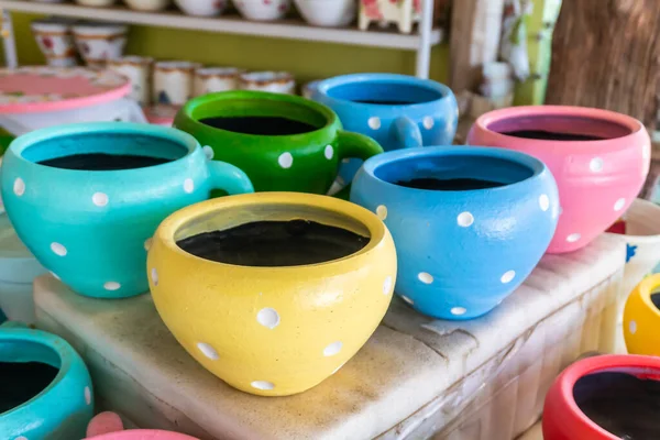 Terracotta Pots Colorful Colorful Plants — Stock Photo, Image