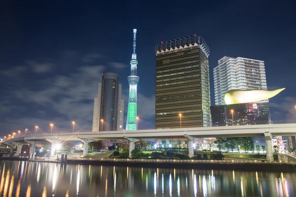 Tokyo, Japan skyline nacht — Stockfoto