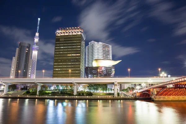 Tokyo, Japan skyline nacht — Stockfoto