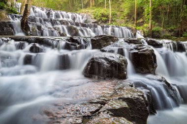 Güzel derin orman şelale Sam lan şelale Milli Parkı: Saraburi Tayland at