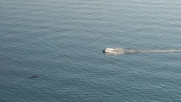 Una moto d'acqua attraversa rapidamente il mare passato in una giornata estiva. Il concetto di svago e turismo. Filmati 4k di alta qualità — Video Stock