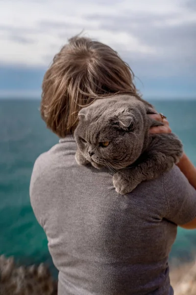 Un gatto nobile e serio giace su una spalla femminile. Scozzese piega gatto-un corto orecchio scozzese piega gatto con pelliccia grigio-blu sullo sfondo del mare. — Foto Stock