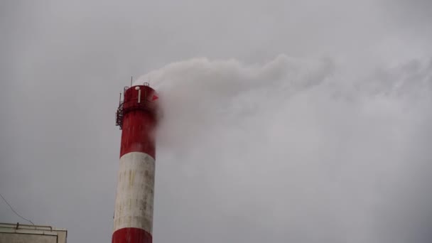 Industriegebiet mit großer roter und weißer Pfeife dicker weißer Rauch quillt aus der Fabrik-Pfeife gegen den grauen Himmel. Umweltverschmutzung: eine Pfeife mit Rauch. — Stockvideo