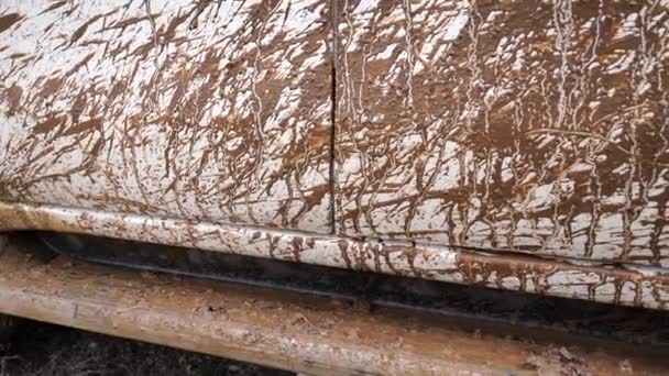 Close-up van het vuil op de auto na het rijden door de modder. Off-road voertuig na het rijden op vloeibare modder — Stockvideo