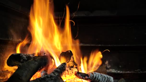 Close-up, chamas do fogo. Fogueira nocturna, troncos a arder, faíscas a voar. 4k, ProRes — Vídeo de Stock