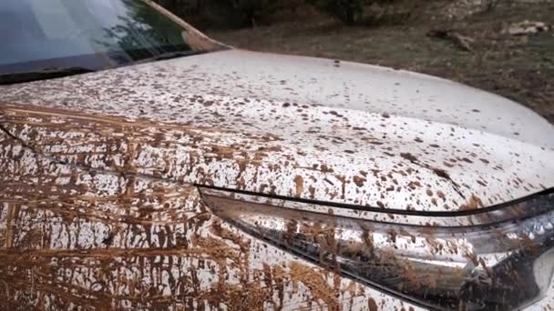 Çamura saplandıktan sonra arabanın pisliğini yakından çek. Sıvı çamur üzerinde sürdükten sonra off-road aracı — Stok video