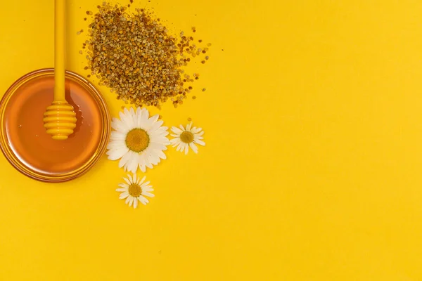A yellow spoon of honey dipped in a jar of honey and bee bread scattered on a yellow background decorated with live chamomile. Honey dripping around, nice and inviting photos. Healthy food concept.