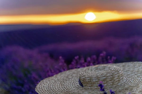 Close-up of a hat on lavender flowers on a sunset background. Love in the lavender concept — Stock Photo, Image