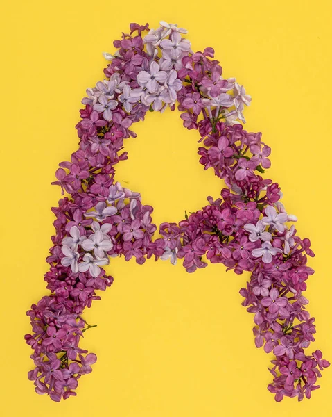 The letter A is lined with lilac flowers on a yellow background. For lettering, composing words. — Stock Photo, Image