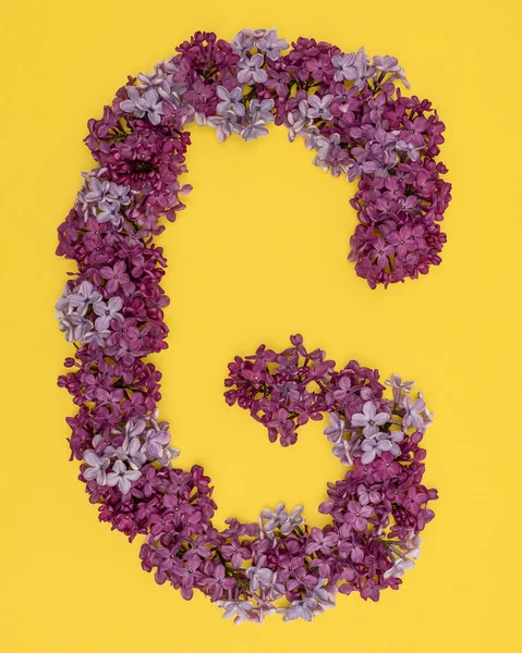 The letter G is lined with lilac flowers on a yellow background. For lettering, composing words. — Stock Photo, Image