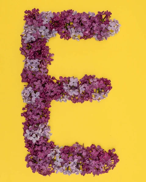 The letter E is lined with lilac flowers on a yellow background. For lettering, composing words. — Stock Photo, Image