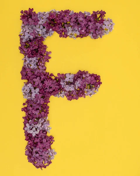 The letter F is lined with lilac flowers on a yellow background. For lettering, composing words. — Stock Photo, Image