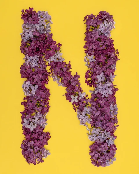 The letter N is lined with lilac flowers on a yellow background. For lettering, composing words. — Stock Photo, Image