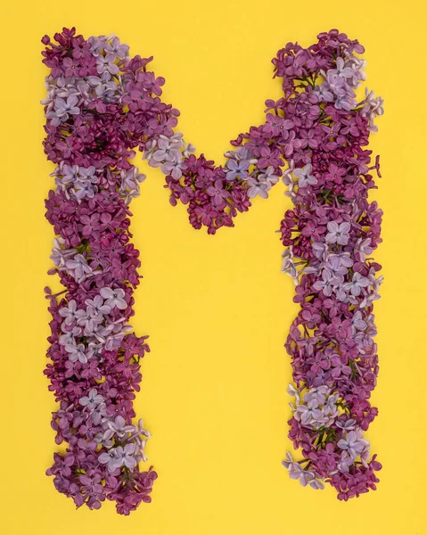 The letter M is lined with lilac flowers on a yellow background. For lettering, composing words. — Stock Photo, Image