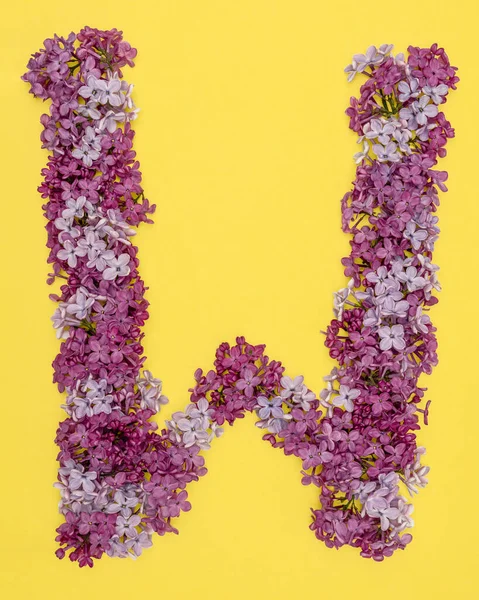 The letter W is lined with lilac flowers on a yellow background. For lettering, composing words. — Stock Photo, Image
