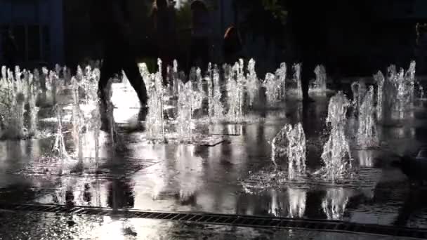 Wasserstrahlen vom Stadtbrunnen im Park im Sonnenuntergang. Kinder rennen in den Brunnen, Tauben gehen auf den Boden. Wasserdruck und Kopf. Spritzwasser. Zeitlupe. Nahaufnahme — Stockvideo