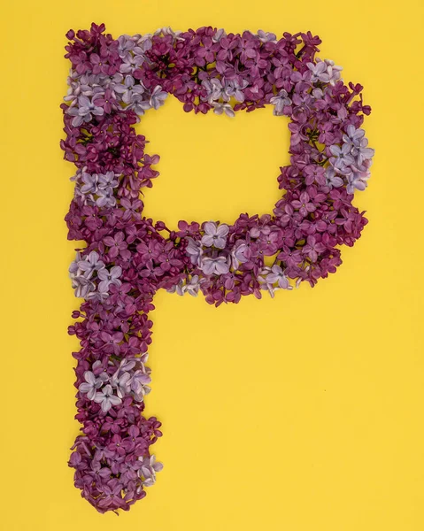 The letter P is lined with lilac flowers on a yellow background. For lettering, composing words. — Stock Photo, Image