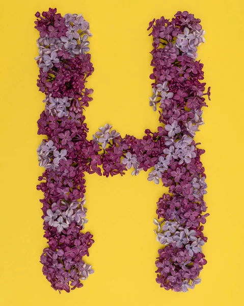 The letter H is lined with lilac flowers on a yellow background. For lettering, composing words. — Stock Photo, Image
