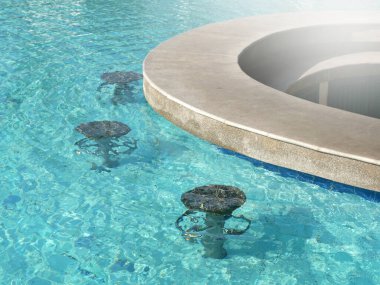 Yüzme havuzunda su altındaki bar tabureleri. 