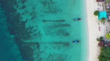 Mavi denizde beyaz plajlı uzun kuyruklu teknelerin üst ya da hava manzarası.