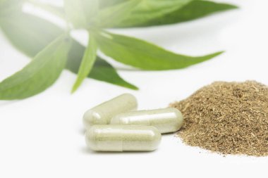 Andrographis panikleme kapsülü ve bitkisel bitki beyaz arka planda izole edilmiş..