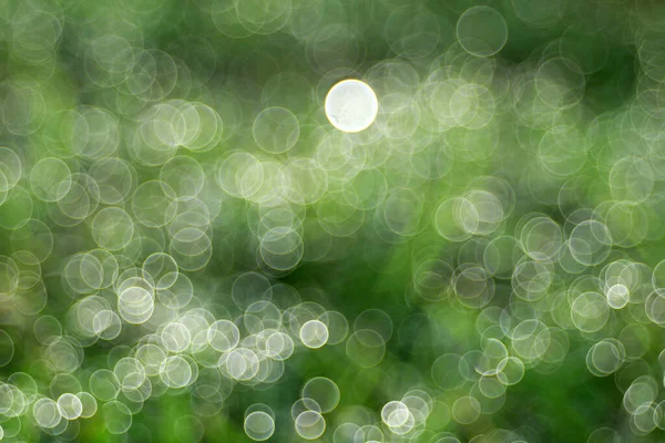 Bubble Bokeh Oder Out Fokus Für Die Natur — Stockfoto