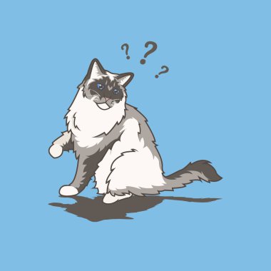Ragdoll kedisinin çizim vektörü kafası karışmış bir ifade gösteriyor