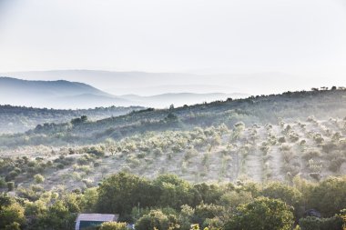 Şafak dağ bölgesinde
