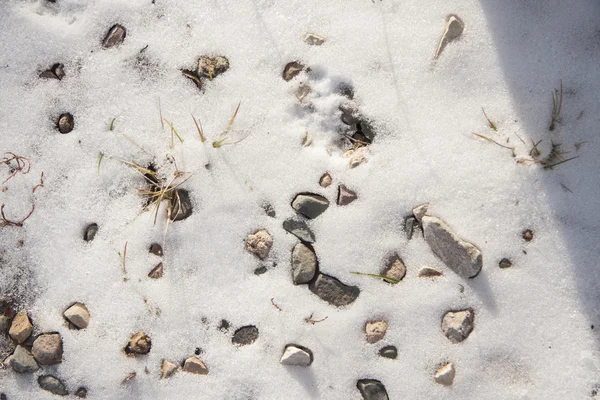 Stones and grass under the snow — Stock Photo, Image