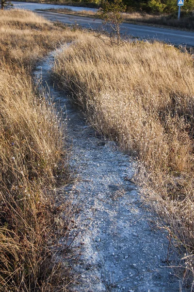 Mountain dirt road — Stock Photo, Image