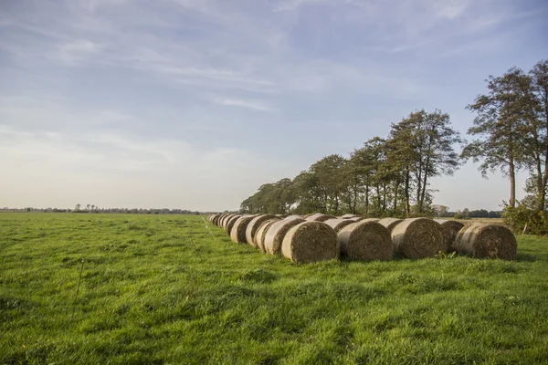 The haystacks — Stock Photo, Image