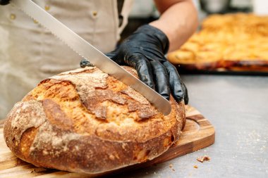 Fırıncının seçici eli bir somun ekmeği bıçakla kesiyor ve siyah eldivenlerle korunuyor.