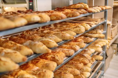 Fırından yeni çıkmış bir fırında somun dolu tepsi.