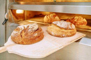 Baker fırına ekmek koyuyor fırının zemininde saklanıyor.