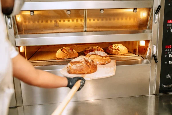 Foyer Sélectif Boulanger Latino Mettre Pain Dans Four Avec Des — Photo