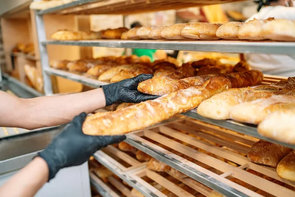 Fırıncı rafının seçici odak noktası taze pişmiş ekmek