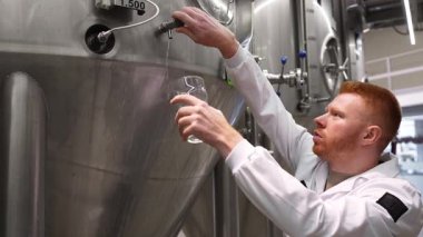 Profesyonel bira üreticisi, kalite kontrolü için büyük çelik bir tanktan bardağa taze bira dolduruyor. İçkinin berraklığını ve tadını kontrol ediyor.