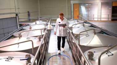 Genç erkek bira fabrikası teknisyeni, modern bira üretim tesisinde yürüyor, fermantasyon verilerini ve bir tabletteki kalite kontrolünü kontrol ediyor.