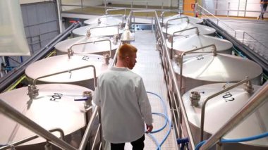 Beyaz önlüklü bir bira ustası modern bir bira fabrikasında bira yapımını kontrol ediyor. Endüstriyel ekipmanların yüksek açısı