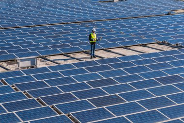 Yenilenebilir enerji üretimi ve sürdürülebilir teknolojiyi izleyen büyük bir güneş paneli kurulumu üzerinde çalışan mühendis